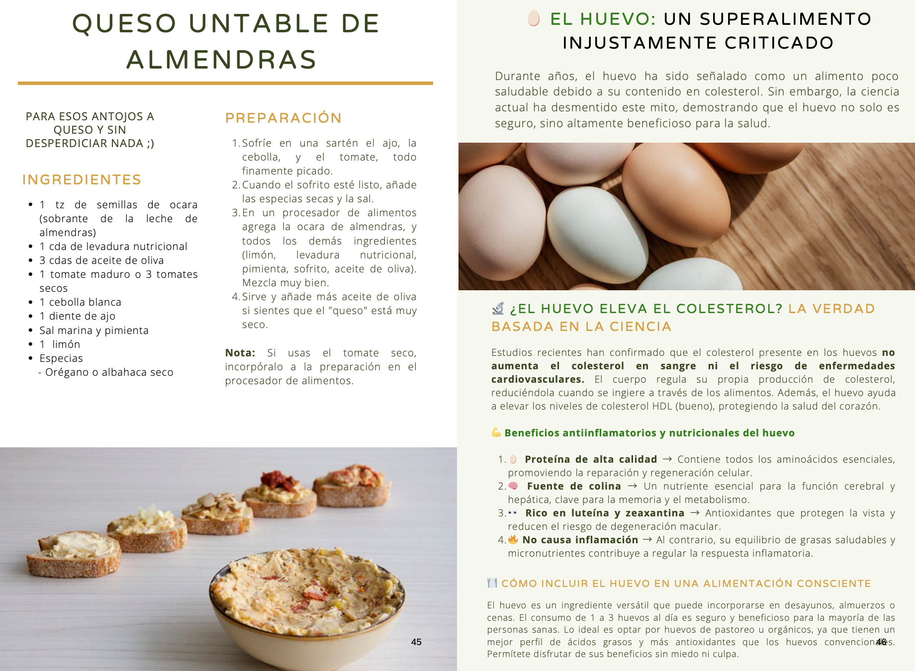 Recetas + contenido educativo